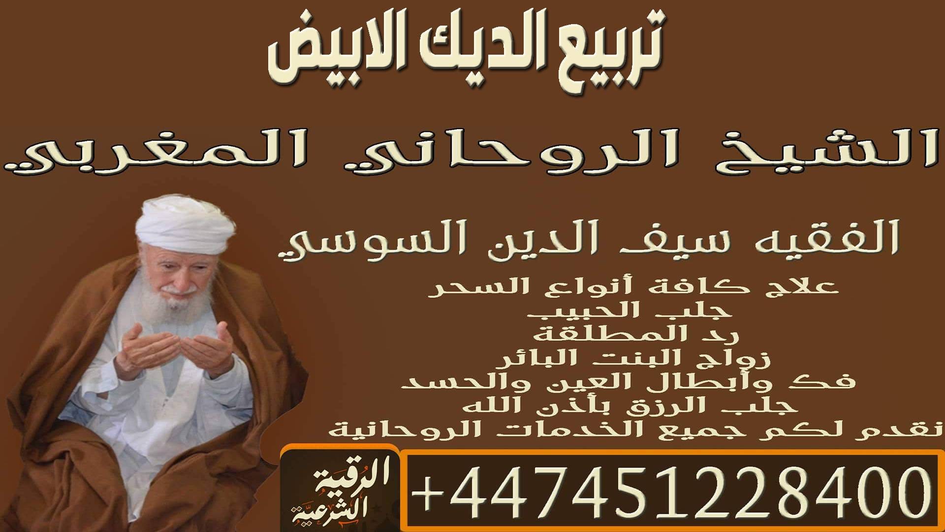 تربيع الديك الابيض